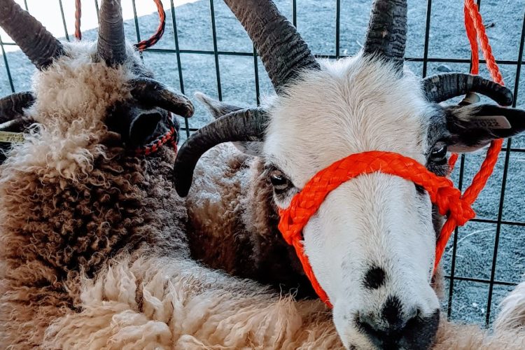 Getting Started With Jacobs